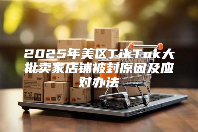 2025年美区TikTok大批卖家店铺被封原因及应对办法