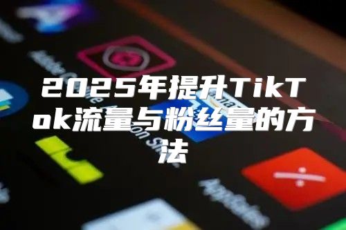 2025年提升TikTok流量与粉丝量的方法