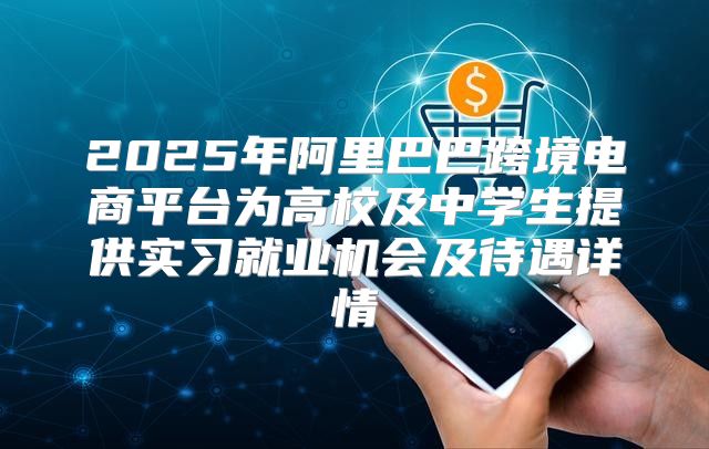 2025年阿里巴巴跨境电商平台为高校及中学生提供实习就业机会及待遇详情