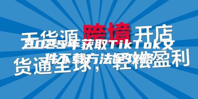 2025年获取TikTok文件下载方法全攻略
