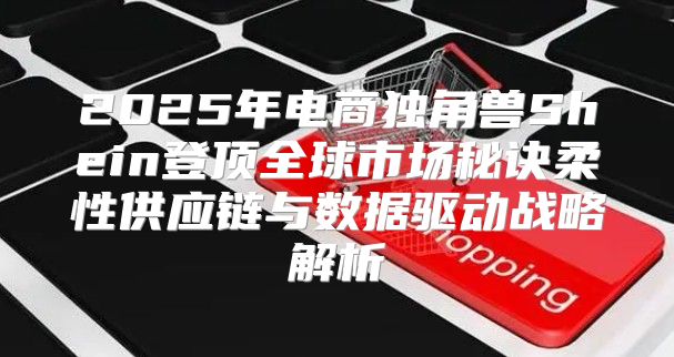 2025年电商独角兽Shein登顶全球市场秘诀柔性供应链与数据驱动战略解析
