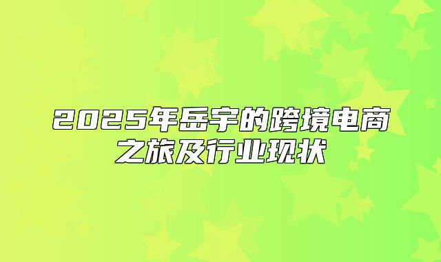 2025年岳宇的跨境电商之旅及行业现状