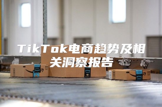 TikTok电商趋势及相关洞察报告