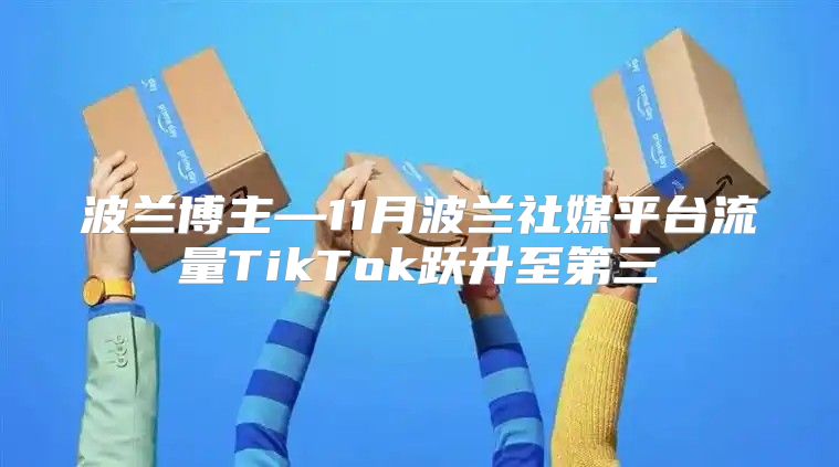 波兰博主—11月波兰社媒平台流量TikTok跃升至第三