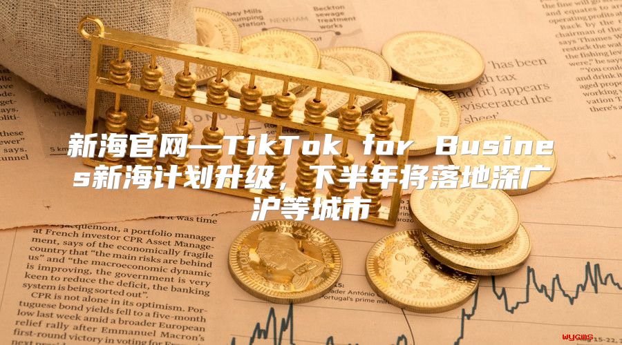 新海官网—TikTok for Busines新海计划升级，下半年将落地深广沪等城市