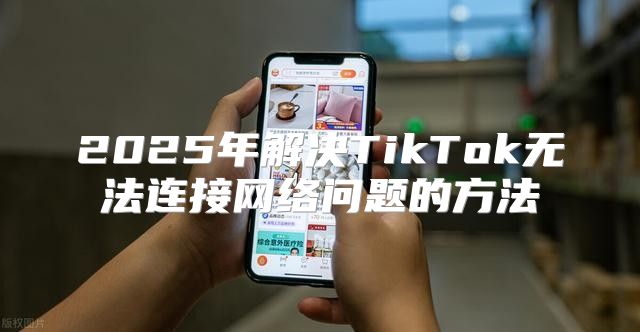 2025年解决TikTok无法连接网络问题的方法