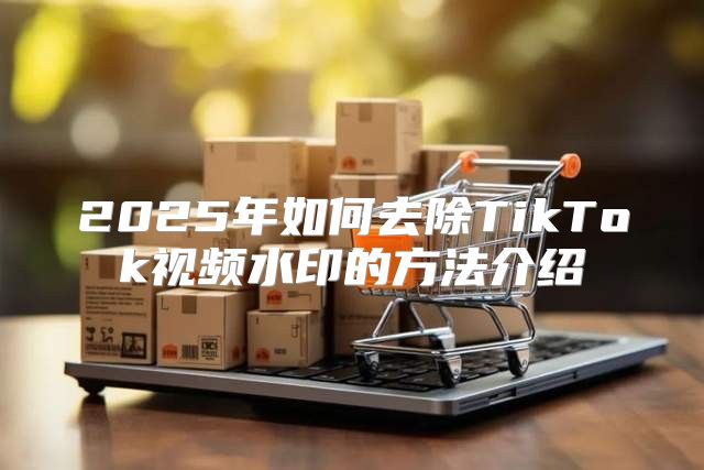 2025年如何去除TikTok视频水印的方法介绍