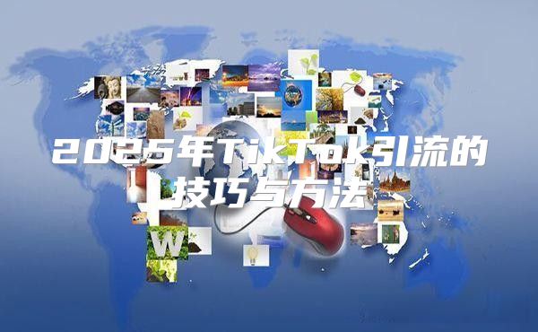 2025年TikTok引流的技巧与方法
