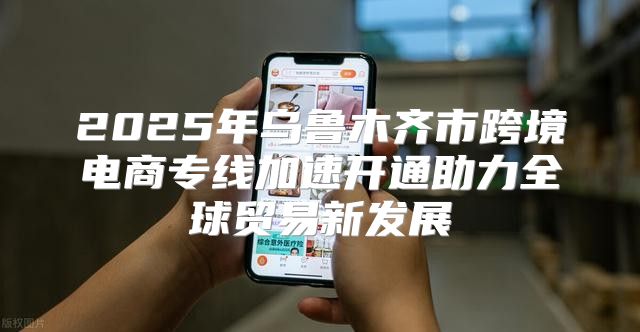 2025年乌鲁木齐市跨境电商专线加速开通助力全球贸易新发展