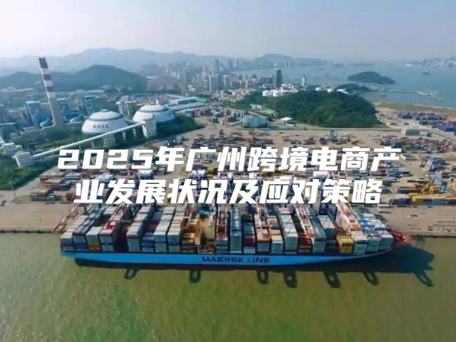 2025年广州跨境电商产业发展状况及应对策略