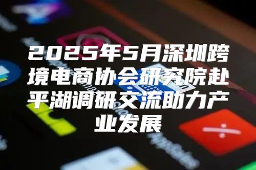 2025年5月深圳跨境电商协会研究院赴平湖调研交流助力产业发展