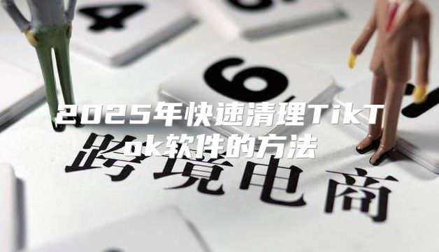 2025年快速清理TikTok软件的方法