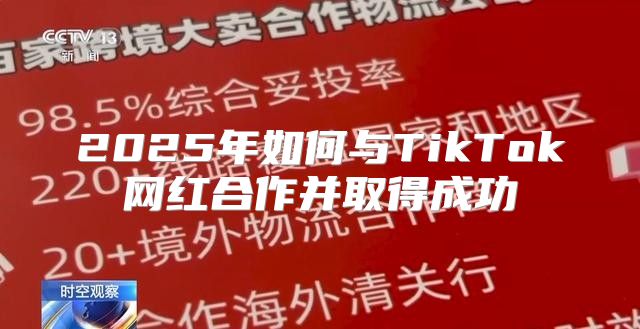 2025年如何与TikTok网红合作并取得成功