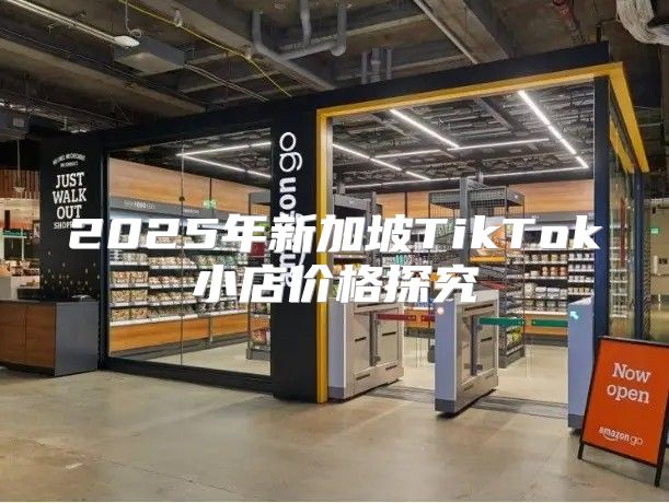2025年新加坡TikTok小店价格探究