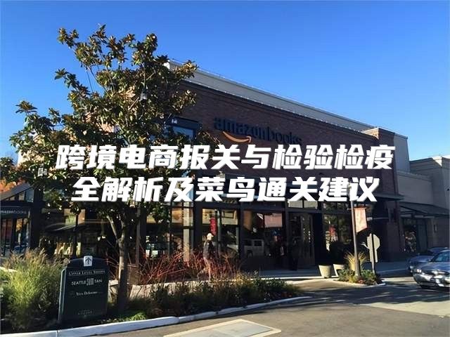 跨境电商报关与检验检疫全解析及菜鸟通关建议