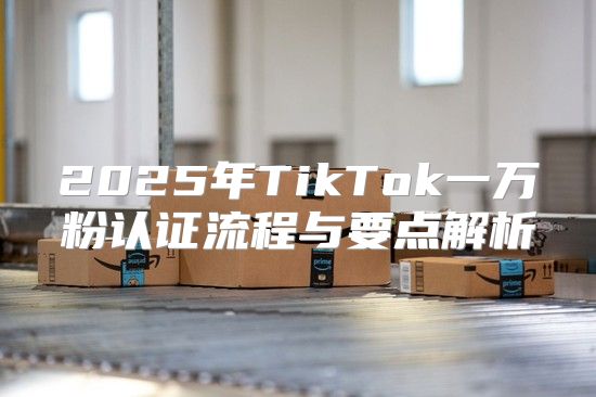 2025年TikTok一万粉认证流程与要点解析