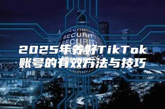 2025年养好TikTok账号的有效方法与技巧