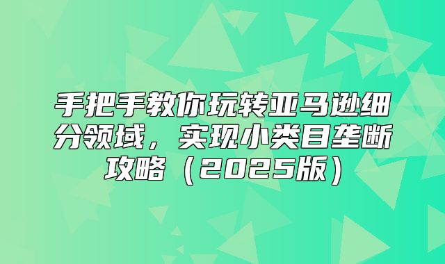 手把手教你玩转亚马逊细分领域，实现小类目垄断攻略2025版