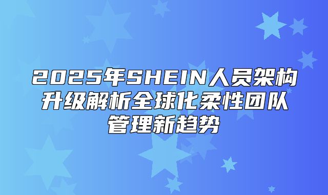 2025年SHEIN人员架构升级解析全球化柔性团队管理新趋势
