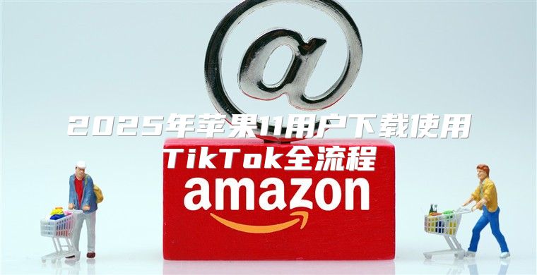 2025年苹果11用户下载使用TikTok全流程