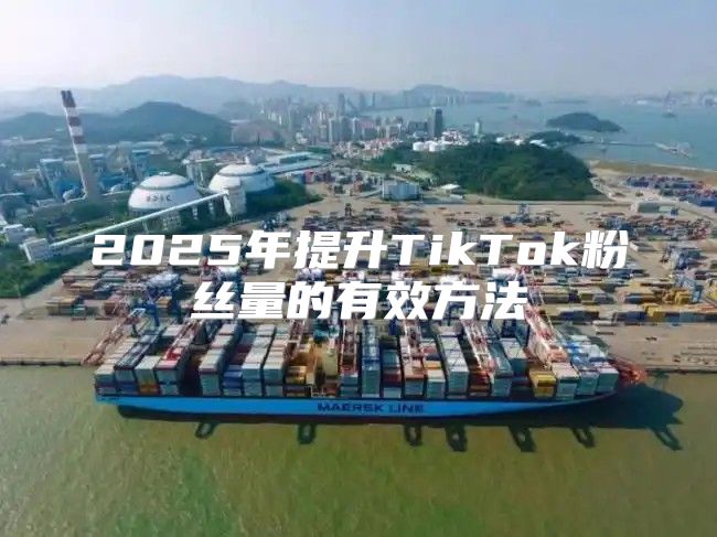 2025年提升TikTok粉丝量的有效方法