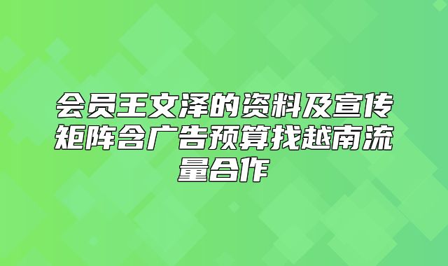 会员王文泽的资料及宣传矩阵含广告预算找越南流量合作