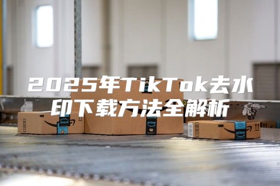 2025年TikTok去水印下载方法全解析
