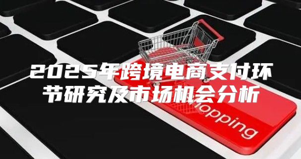 2025年跨境电商支付环节研究及市场机会分析