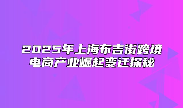 2025年上海布吉街跨境电商产业崛起变迁探秘