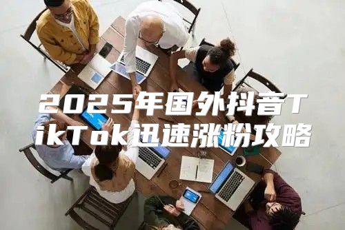 2025年国外抖音TikTok迅速涨粉攻略