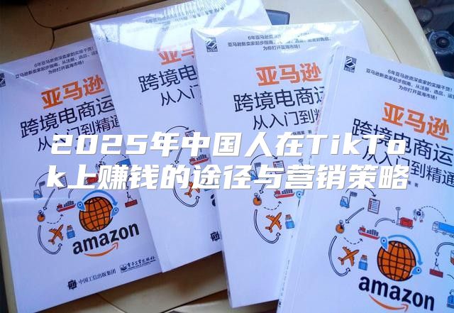 2025年中国人在TikTok上赚钱的途径与营销策略