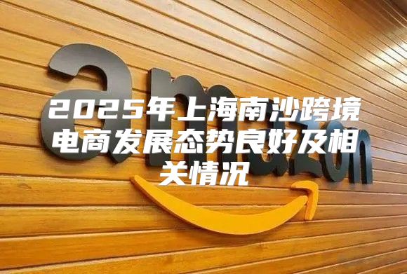 2025年上海南沙跨境电商发展态势良好及相关情况