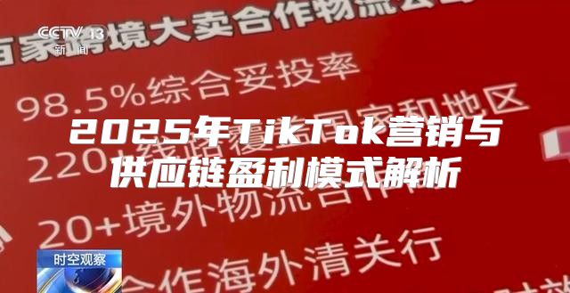 2025年TikTok营销与供应链盈利模式解析