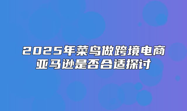 2025年菜鸟做跨境电商亚马逊是否合适探讨