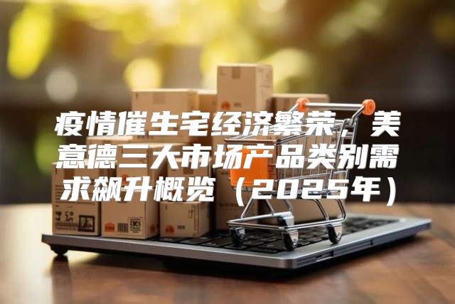 疫情催生宅经济繁荣，美意德三大市场产品类别需求飙升概览2025年