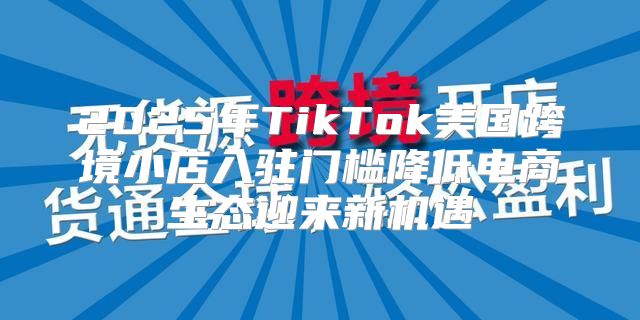 2025年TikTok美国跨境小店入驻门槛降低电商生态迎来新机遇