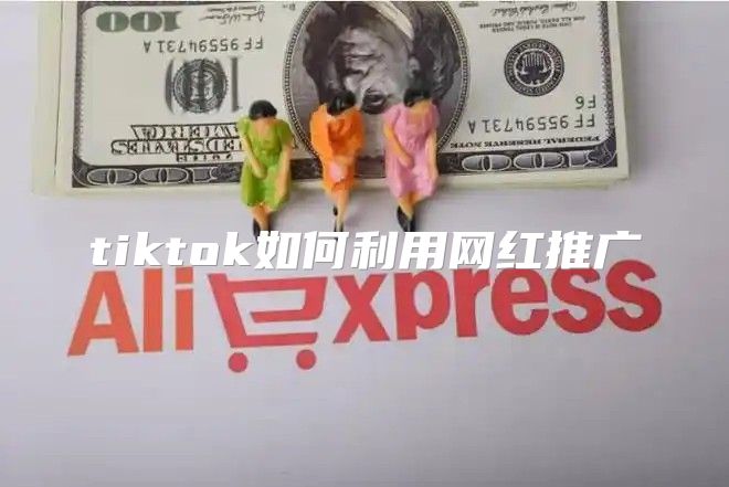 tiktok如何利用网红推广