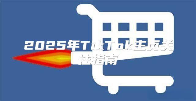 2025年TikTok主页关注指南