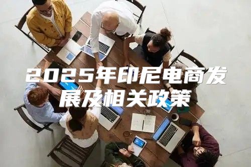 2025年印尼电商发展及相关政策