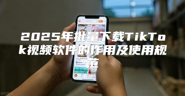 2025年批量下载TikTok视频软件的作用及使用规范