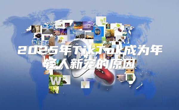 2025年TikTok成为年轻人新宠的原因