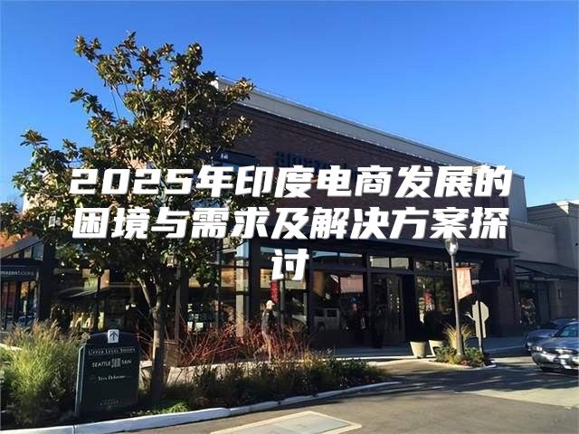 2025年印度电商发展的困境与需求及解决方案探讨