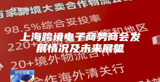 上海跨境电子商务商会发展情况及未来展望