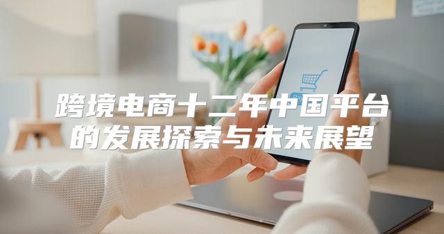 跨境电商十二年中国平台的发展探索与未来展望