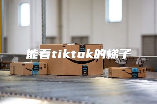 能看tiktok的梯子