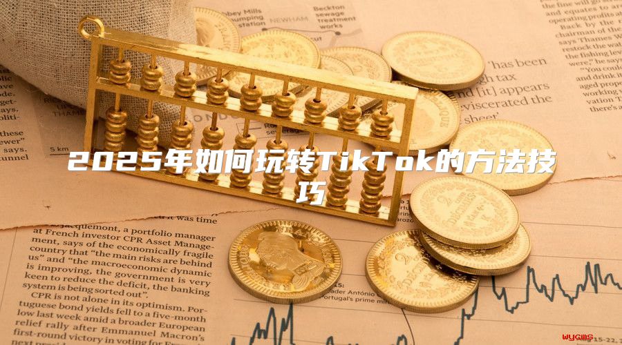 2025年如何玩转TikTok的方法技巧