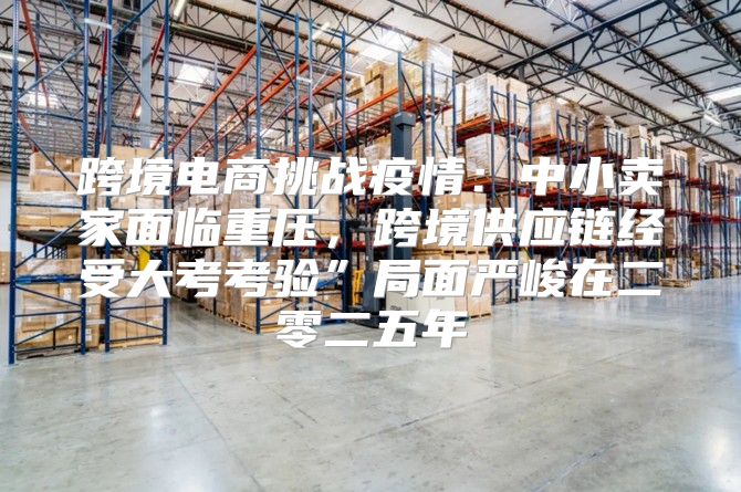 跨境电商挑战疫情：中小卖家面临重压，跨境供应链经受大考考验”局面严峻在二零二五年