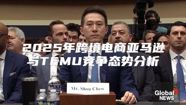 2025年跨境电商亚马逊与TEMU竞争态势分析