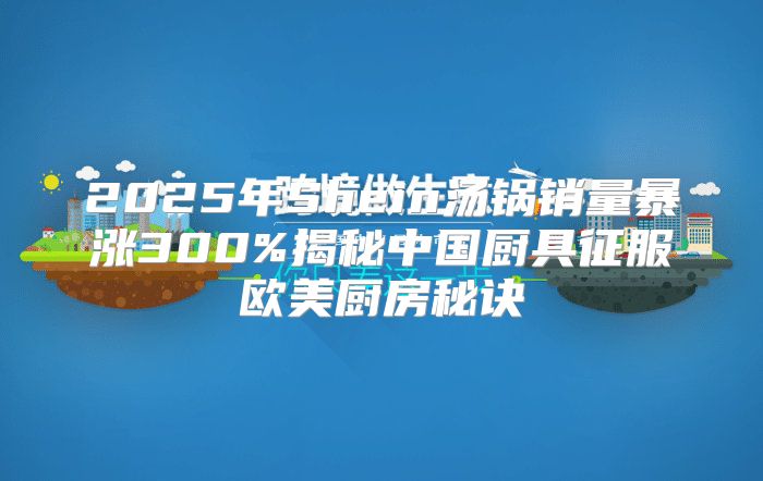2025年Shein汤锅销量暴涨300%揭秘中国厨具征服欧美厨房秘诀