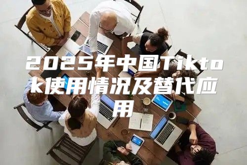 2025年中国Tiktok使用情况及替代应用